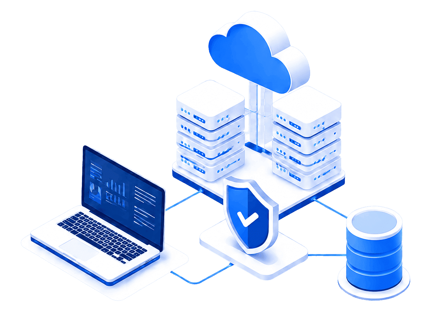 Shared hosting server for business website